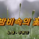 밤비속의 꽃 - 주현미 이미지