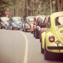 그린카서비스부분 이미지