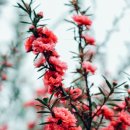 은송이네 이미지