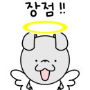 안동전담