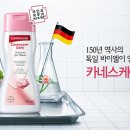 카네스 이미지