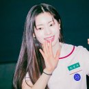 다현기획 이미지