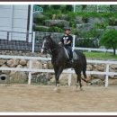 승마펜션 이미지