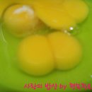 김밥말다 이미지