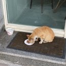 울산 달동 ‘드마르’ DE MAR 마카롱 맛집 선물추천