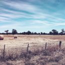 동일축산 이미지