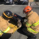 광주광역시 야생동물구조관리센터 이미지