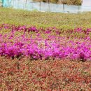 오성농원 이미지