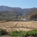 休무풍승지 이미지