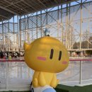 남선푸드시스템 | 대전엑스포 시민광장 야외스케이트장 병원다녀온 썰