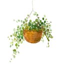 예산본석갈비 이미지