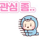 뽀뽀키즈