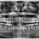서울닥터스치과의원 이미지
