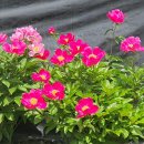 경기둘레길 이천38코스 이미지