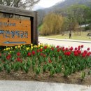 문경새재관리사무소 이미지