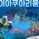 랄츠카페 이미지