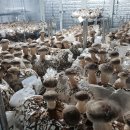 스마트도시농부협동조합 이미지