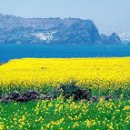 파인힐호텔 이미지