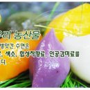 수연떡방앗간
