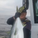 마린호