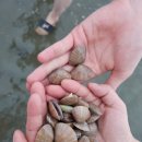 보니타펜션 이미지