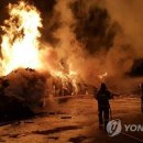 대원목재 이미지