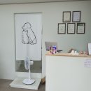 견묘양처 이미지