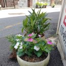 삼한공인중개사사무소 이미지