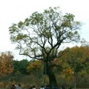 한나래유치원 이미지