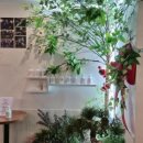 랑데자뷰건대 이미지