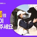 유기견(묘) 입양자 중, 인터뷰 가능자 모집합니다^^ (스텝 허용글) 이미지