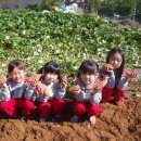 하정농장 이미지