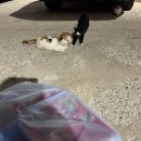 아산락실내바다낚시터 이미지