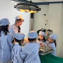 주식회사 앱노리 | 부산 아이랑 가볼만한곳, 키자니아 후기 + 꿀팁, 5살부터 초등까지 즐기는 직업체험의 모든 것, 오후권...