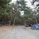 솔내음야영장 이미지