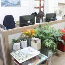 퇴계공인중개사사무소 이미지