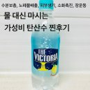 효소빅토리아 | 가성비 탄산수 더빅토리아, 물 대신 마셔본 후기, 효능, 추천!