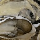 동화3길-6 이미지