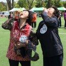 인제그라운드골프장 이미지