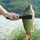 낚시 - 강릉시 율곡로 2932 | 낚시