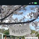 라미옷가게