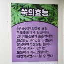 에덴쑥훈증테라피 이미지