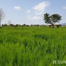 강나루체육공원 이미지