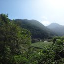 보발농장 이미지