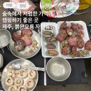 제주 가성비 캠핑장, 제주숲속뷰숙소, 붉은오름자연휴양림