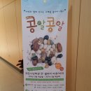 과천시민회관 연습실구름 | 겨울방학 가볼만한 과천시민회관 사계절놀이터시즌2 콩알콩알