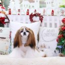 아콩하우스 이미지