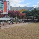 성산노인복지관 체력단련실 이미지