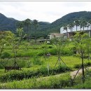 구이저수지 둘레길 이미지