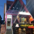 [청주/사창동] 곱창나베가 맛있는 술집 “맨션드도쿄”